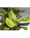 HIGUERA VIOLIN-PLANTA ARTIFIC H250